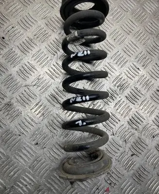 Rear coil spring