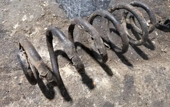 Rear coil spring