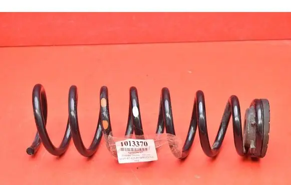 Rear coil spring