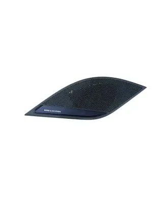 Side speaker trim/cover