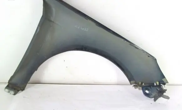 Ford Focus Fender
