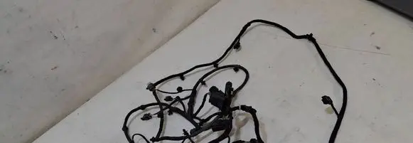 BMW X5 G05 Parking sensor (PDC) wiring loom 8736611