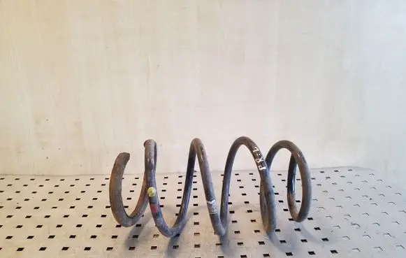 Front coil spring