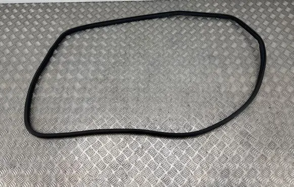 Renault Koleos II Front door rubber seal