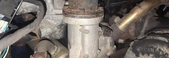 EGR valve