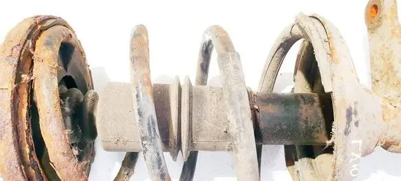 Front coil spring