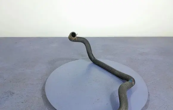 Renault Arkana Engine coolant pipe/hose 295M19466R