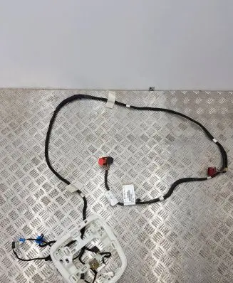 Citroen Jumpy Other wiring loom 9812355880 7G24A206 12030201