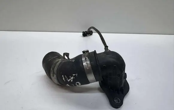 Nissan Qashqai Air intake hose/pipe 147138491R PA6TG6GF30