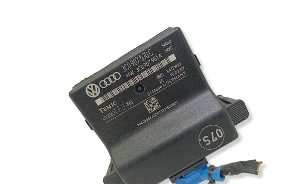 Volkswagen PASSAT B6 Gateway control module 3C0907530C