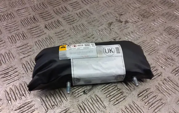 Chevrolet Captiva Seat airbag 95194841 20879777 688437698