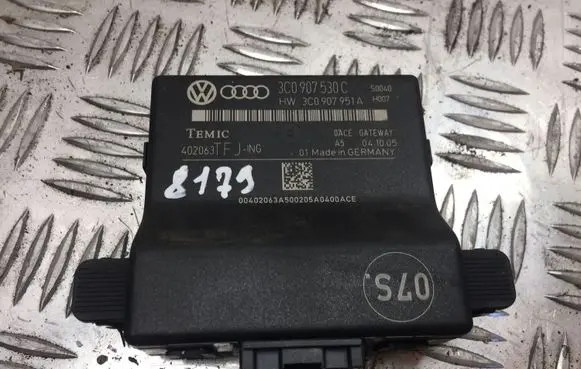 Volkswagen PASSAT B6 Gateway control module 3C0907530C 8179