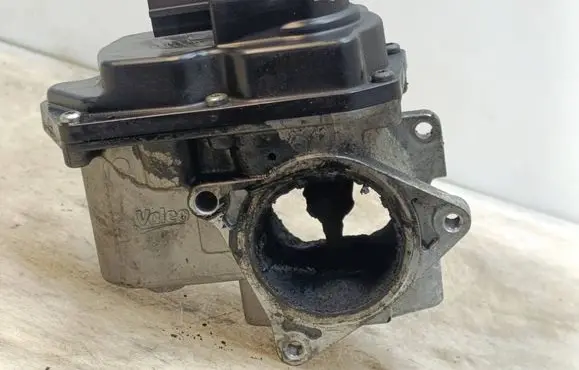 Seat Exeo (3R) EGR valve 03L131501G 14091660
