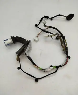 Front door wiring loom