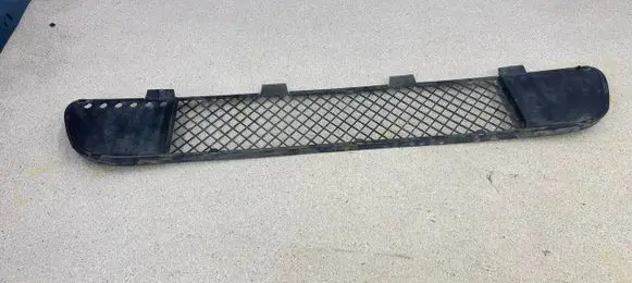 BMW M5 Front bumper lower grill 2496285 51112496285