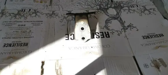 Chevrolet Captiva Front door upper hinge