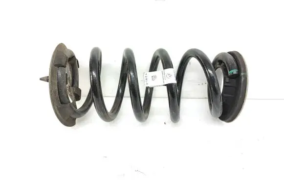 Tesla Model Y Rear coil spring 228847400A