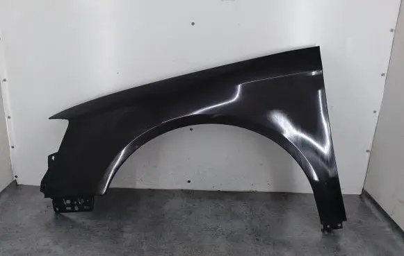 Volkswagen PASSAT B6 Fender LC8Z