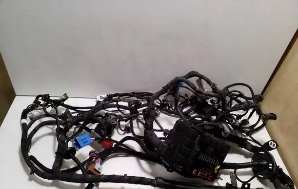 Maserati Ghibli Other wiring loom 06700086490
