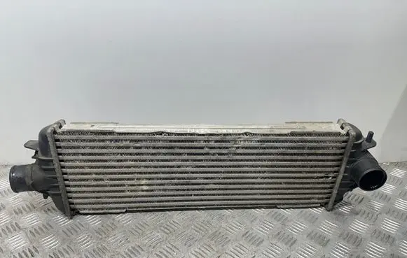 Opel Vivaro Intercooler radiator 93850451