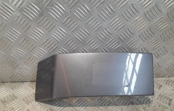 Rear/tail light trim molding