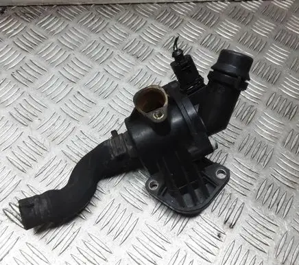 Thermostat/thermostat housing