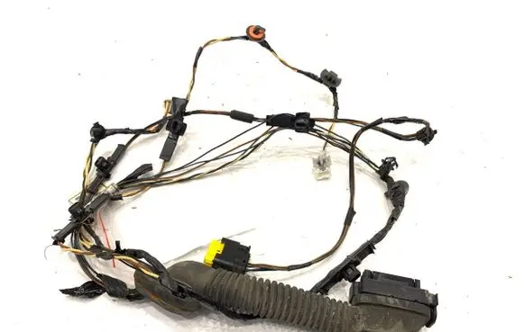 Hyundai i20 (PB PBT) Front door wiring loom 