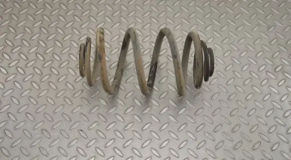 Renault Trafic III (X82) Rear coil spring