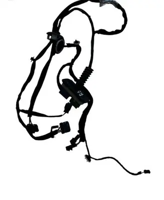 Citroen DS5 Front door wiring loom 9801372380 55WYD7004 1250