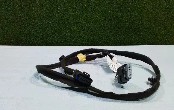 Rear door wiring loom
