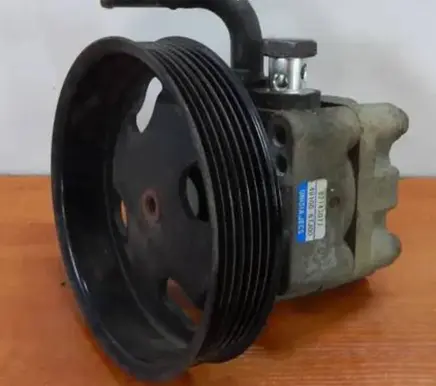 Suzuki Grand Vitara II Power steering pump 4910067J00 82143077