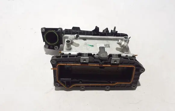 Renault Austral Intake manifold 1434960S01