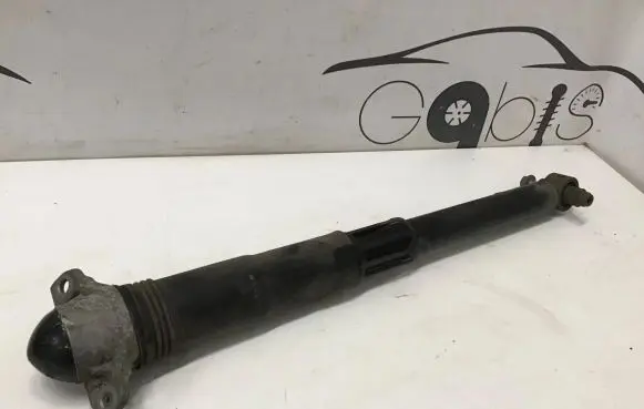 Volkswagen Arteon Shooting Brake Rear shock absorber/damper 3Q0512011