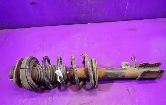 Chevrolet Nubira Rear shock absorber with coil spring 