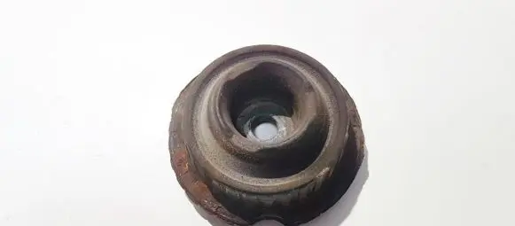 Coil spring mount