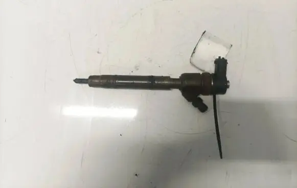 Hyundai i30 Fuel injector 0445110256 338002A400