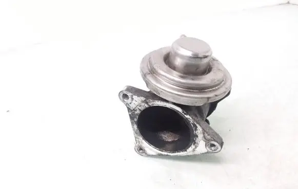 Skoda Octavia Mk2 (1Z) EGR valve 038131501AN 306914094