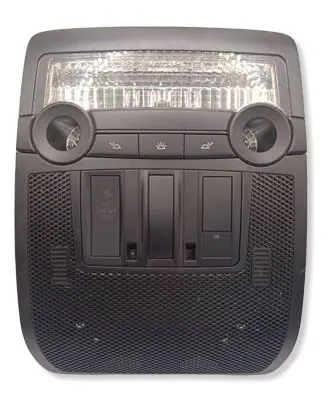 BMW X6 E71 Front seat light 74756300 9206568 6131920656802