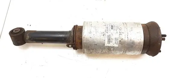 Land Rover Discovery 3 - LR3 Air suspension front shock absorber 22241484 RNB501250