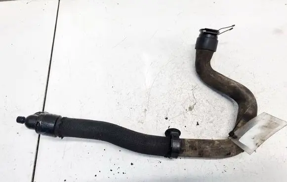 Peugeot Expert Engine coolant pipe/hose