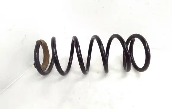 Rear coil spring