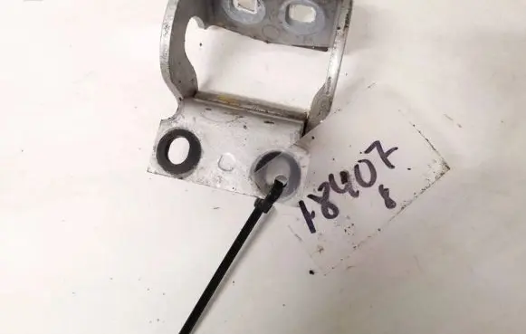 Tailgate/trunk/boot hinge