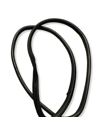 BMW X5 E70 Front door rubber seal 