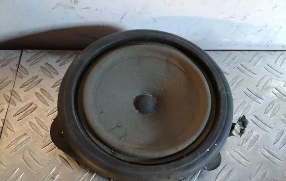 Front door speaker