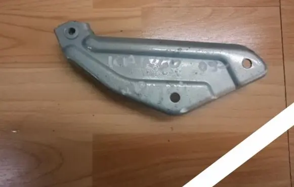 Renault Kangoo II Rear door hinge set 223471