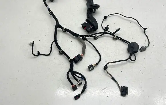 Front door wiring loom