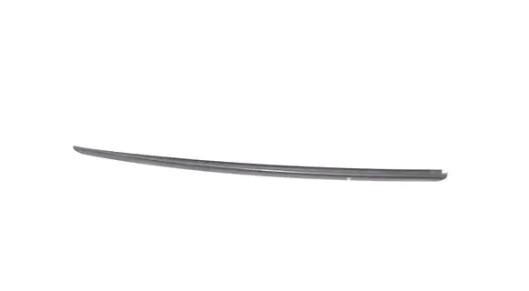 Honda Civic Windshield trim 
