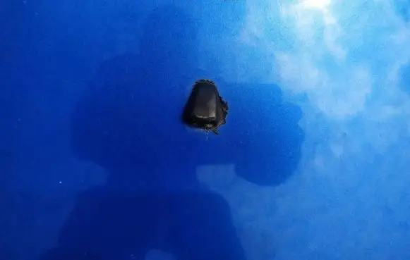 Honda Civic Windshield washer spray nozzle 