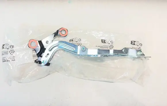 Ford Mustang Mach-E Engine bonnet/hood hinges LJ8BR16C964