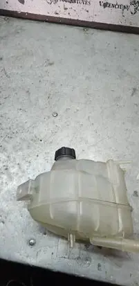 Renault Koleos II Coolant expansion tank/reservoir 217109703R